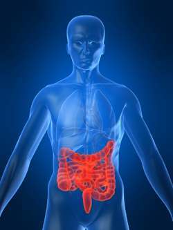 Benefits of Cleansing Your Colon